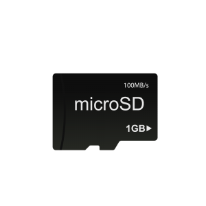 BC Vault 1GB MicroSD card